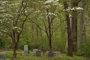 14234367915_c422b18386_b