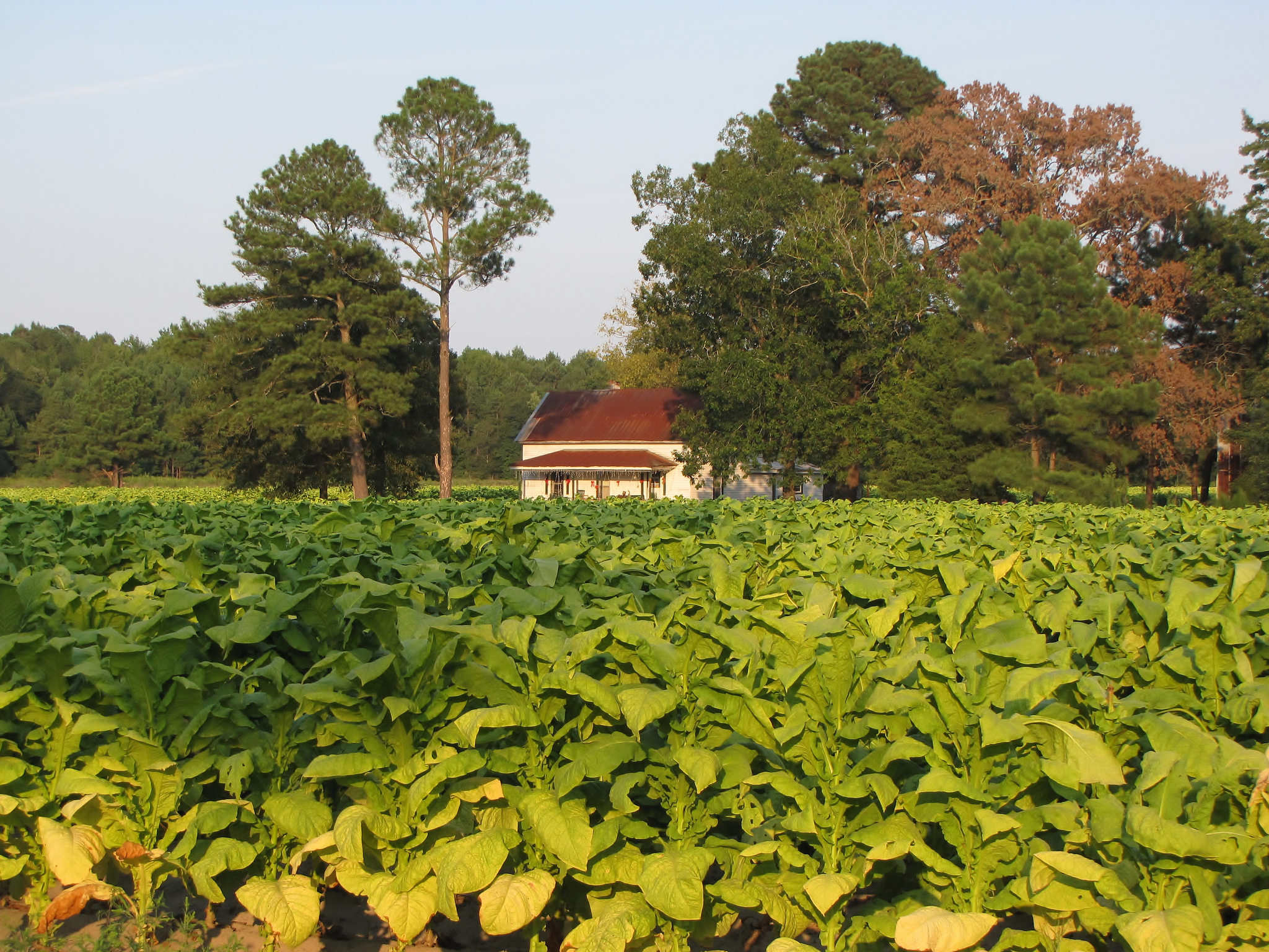 15064827921_ade5e4d861_k