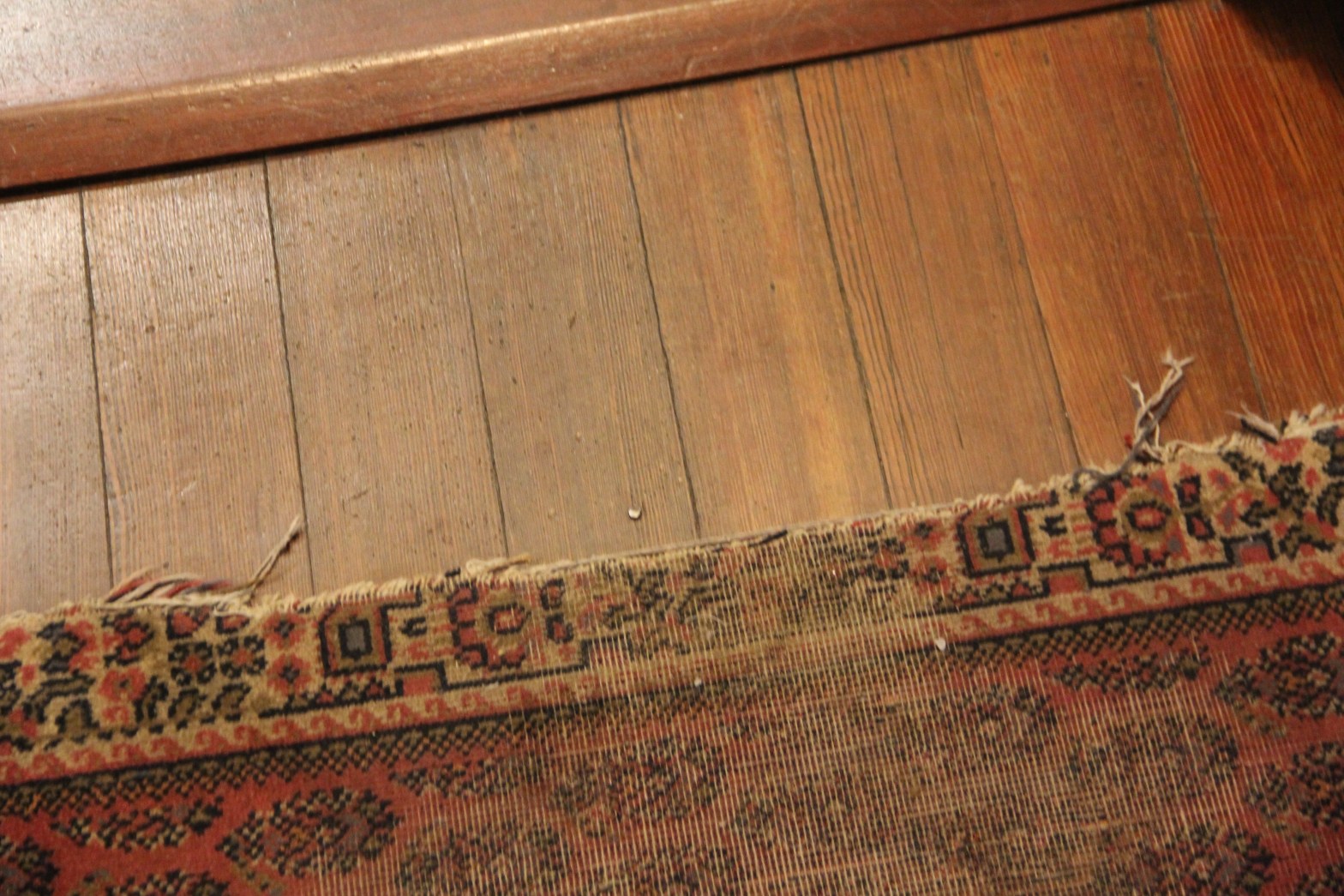 One-Night Stand: The Life Of A Frayed&nbsp;Carpet