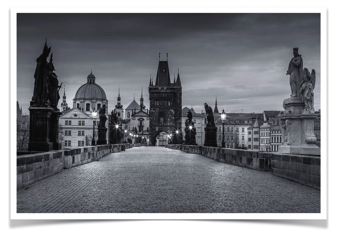 The Private Surveyor